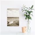 Picture of Beach Boat _GroupedProduct_Rectangle_Portrait_Photography _GroupedProduct_Rectangle_Portrait_Unframed_Print_Only_