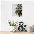 Picture of Canary Palm _GroupedProduct_Rectangle_Portrait_Photography _GroupedProduct_Rectangle_Portrait_Unframed_Print_Only_