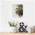 Picture of Canary Palm _GroupedProduct_Rectangle_Portrait_Photography _GroupedProduct_Rectangle_Portrait_Unframed_Print_Only_