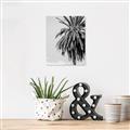 Picture of Canary Palm _GroupedProduct_Rectangle_Portrait_Photography _GroupedProduct_Rectangle_Portrait_Unframed_Print_Only_