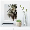 Picture of Canary Palm _GroupedProduct_Rectangle_Portrait_Photography _GroupedProduct_Rectangle_Portrait_Unframed_Print_Only_