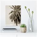 Picture of Canary Palm _GroupedProduct_Rectangle_Portrait_Photography _GroupedProduct_Rectangle_Portrait_Unframed_Print_Only_