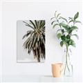 Picture of Canary Palm _GroupedProduct_Rectangle_Portrait_Photography _GroupedProduct_Rectangle_Portrait_Unframed_Print_Only_