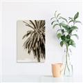 Picture of Canary Palm _GroupedProduct_Rectangle_Portrait_Photography _GroupedProduct_Rectangle_Portrait_Unframed_Print_Only_