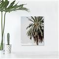 Picture of Canary Palm _GroupedProduct_Rectangle_Portrait_Photography _GroupedProduct_Rectangle_Portrait_Unframed_Print_Only_