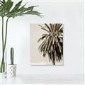 Picture of Canary Palm _GroupedProduct_Rectangle_Portrait_Photography _GroupedProduct_Rectangle_Portrait_Unframed_Print_Only_