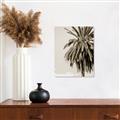 Picture of Canary Palm _GroupedProduct_Rectangle_Portrait_Photography _GroupedProduct_Rectangle_Portrait_Unframed_Print_Only_