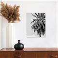 Picture of Canary Palm _GroupedProduct_Rectangle_Portrait_Photography _GroupedProduct_Rectangle_Portrait_Unframed_Print_Only_