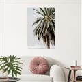 Picture of Canary Palm _GroupedProduct_Rectangle_Portrait_Photography _GroupedProduct_Rectangle_Portrait_Unframed_Print_Only_