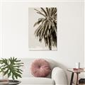 Picture of Canary Palm _GroupedProduct_Rectangle_Portrait_Photography _GroupedProduct_Rectangle_Portrait_Unframed_Print_Only_