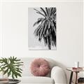 Picture of Canary Palm _GroupedProduct_Rectangle_Portrait_Photography _GroupedProduct_Rectangle_Portrait_Unframed_Print_Only_