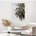Picture of Canary Palm _GroupedProduct_Rectangle_Portrait_Photography _GroupedProduct_Rectangle_Portrait_Unframed_Print_Only_