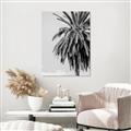 Picture of Canary Palm _GroupedProduct_Rectangle_Portrait_Photography _GroupedProduct_Rectangle_Portrait_Unframed_Print_Only_