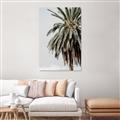 Picture of Canary Palm _GroupedProduct_Rectangle_Portrait_Photography _GroupedProduct_Rectangle_Portrait_Unframed_Print_Only_