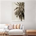 Picture of Canary Palm _GroupedProduct_Rectangle_Portrait_Photography _GroupedProduct_Rectangle_Portrait_Unframed_Print_Only_