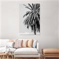 Picture of Canary Palm _GroupedProduct_Rectangle_Portrait_Photography _GroupedProduct_Rectangle_Portrait_Unframed_Print_Only_