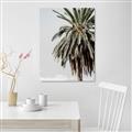 Picture of Canary Palm _GroupedProduct_Rectangle_Portrait_Photography _GroupedProduct_Rectangle_Portrait_Unframed_Print_Only_