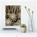 Picture of Cactus Zone _GroupedProduct_Rectangle_Portrait_Photography _GroupedProduct_Rectangle_Portrait_Unframed_Print_Only_