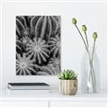 Picture of Cactus Zone _GroupedProduct_Rectangle_Portrait_Photography _GroupedProduct_Rectangle_Portrait_Unframed_Print_Only_