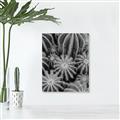 Picture of Cactus Zone _GroupedProduct_Rectangle_Portrait_Photography _GroupedProduct_Rectangle_Portrait_Unframed_Print_Only_