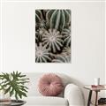 Picture of Cactus Zone _GroupedProduct_Rectangle_Portrait_Photography _GroupedProduct_Rectangle_Portrait_Unframed_Print_Only_