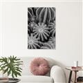 Picture of Cactus Zone _GroupedProduct_Rectangle_Portrait_Photography _GroupedProduct_Rectangle_Portrait_Unframed_Print_Only_