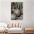 Picture of Cactus Zone _GroupedProduct_Rectangle_Portrait_Photography _GroupedProduct_Rectangle_Portrait_Unframed_Print_Only_