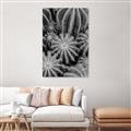 Picture of Cactus Zone _GroupedProduct_Rectangle_Portrait_Photography _GroupedProduct_Rectangle_Portrait_Unframed_Print_Only_
