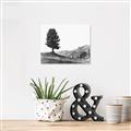 Picture of Tree on a Hill _GroupedProduct_Rectangle_Landscape_Photography _GroupedProduct_Rectangle_Landscape_Unframed_Print_Only_