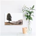 Picture of Tree on a Hill _GroupedProduct_Rectangle_Landscape_Photography _GroupedProduct_Rectangle_Landscape_Unframed_Print_Only_