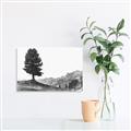 Picture of Tree on a Hill _GroupedProduct_Rectangle_Landscape_Photography _GroupedProduct_Rectangle_Landscape_Unframed_Print_Only_