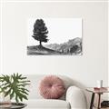 Picture of Tree on a Hill _GroupedProduct_Rectangle_Landscape_Photography _GroupedProduct_Rectangle_Landscape_Unframed_Print_Only_
