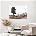 Picture of Tree on a Hill _GroupedProduct_Rectangle_Landscape_Photography _GroupedProduct_Rectangle_Landscape_Unframed_Print_Only_