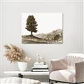 Picture of Tree on a Hill _GroupedProduct_Rectangle_Landscape_Photography _GroupedProduct_Rectangle_Landscape_Unframed_Print_Only_