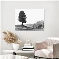 Picture of Tree on a Hill _GroupedProduct_Rectangle_Landscape_Photography _GroupedProduct_Rectangle_Landscape_Unframed_Print_Only_