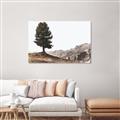Picture of Tree on a Hill _GroupedProduct_Rectangle_Landscape_Photography _GroupedProduct_Rectangle_Landscape_Unframed_Print_Only_