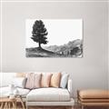 Picture of Tree on a Hill _GroupedProduct_Rectangle_Landscape_Photography _GroupedProduct_Rectangle_Landscape_Unframed_Print_Only_