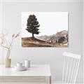 Picture of Tree on a Hill _GroupedProduct_Rectangle_Landscape_Photography _GroupedProduct_Rectangle_Landscape_Unframed_Print_Only_
