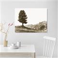 Picture of Tree on a Hill _GroupedProduct_Rectangle_Landscape_Photography _GroupedProduct_Rectangle_Landscape_Unframed_Print_Only_