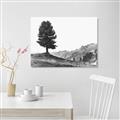 Picture of Tree on a Hill _GroupedProduct_Rectangle_Landscape_Photography _GroupedProduct_Rectangle_Landscape_Unframed_Print_Only_