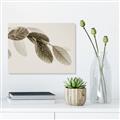 Picture of Spring Dew Leaves _GroupedProduct_Rectangle_Landscape_Photography _GroupedProduct_Rectangle_Landscape_Unframed_Print_Only_