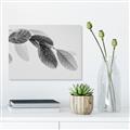 Picture of Spring Dew Leaves _GroupedProduct_Rectangle_Landscape_Photography _GroupedProduct_Rectangle_Landscape_Unframed_Print_Only_