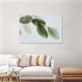 Picture of Spring Dew Leaves _GroupedProduct_Rectangle_Landscape_Photography _GroupedProduct_Rectangle_Landscape_Unframed_Print_Only_