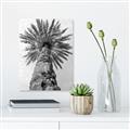 Picture of Palm Perfection _GroupedProduct_Rectangle_Portrait_Photography _GroupedProduct_Rectangle_Portrait_Unframed_Print_Only_