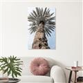 Picture of Palm Perfection _GroupedProduct_Rectangle_Portrait_Photography _GroupedProduct_Rectangle_Portrait_Unframed_Print_Only_