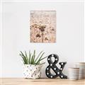 Picture of Macro Dried Florals _GroupedProduct_Rectangle_Portrait_Photography _GroupedProduct_Rectangle_Portrait_Unframed_Print_Only_