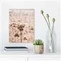 Picture of Macro Dried Florals _GroupedProduct_Rectangle_Portrait_Photography _GroupedProduct_Rectangle_Portrait_Unframed_Print_Only_
