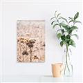 Picture of Macro Dried Florals _GroupedProduct_Rectangle_Portrait_Photography _GroupedProduct_Rectangle_Portrait_Unframed_Print_Only_