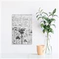 Picture of Macro Dried Florals _GroupedProduct_Rectangle_Portrait_Photography _GroupedProduct_Rectangle_Portrait_Unframed_Print_Only_