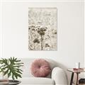 Picture of Macro Dried Florals _GroupedProduct_Rectangle_Portrait_Photography _GroupedProduct_Rectangle_Portrait_Unframed_Print_Only_